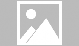 排球少年动漫,梦想与激情的青春交响曲